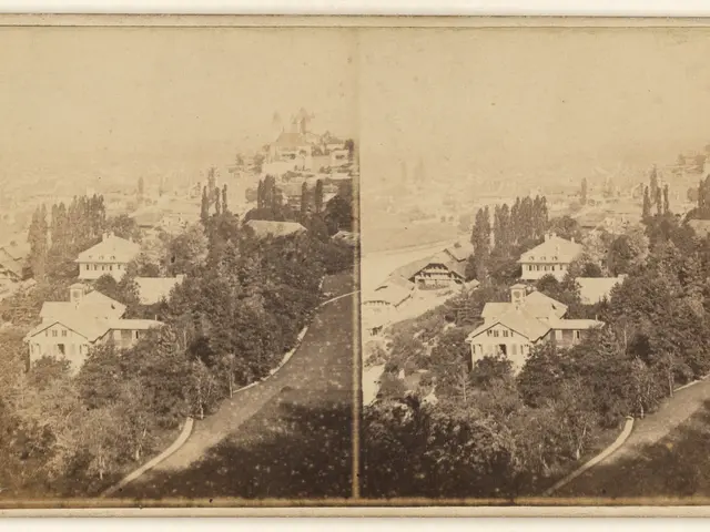 The image shows an old black and white photo of a city with trees in the foreground and buildings...