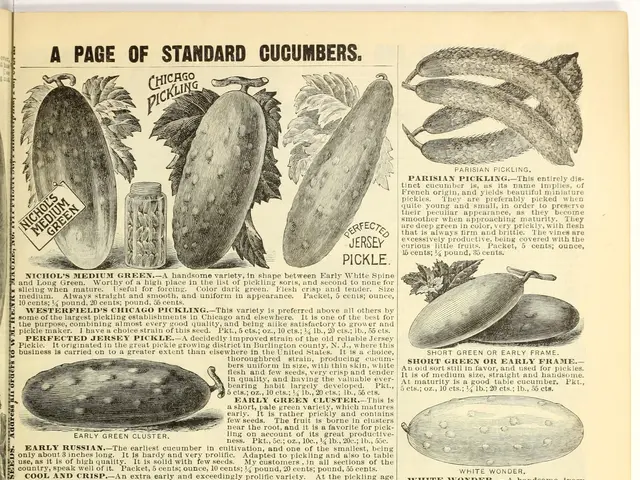The image shows an open book with a variety of vegetables, including cucumbers, on it. The page of...