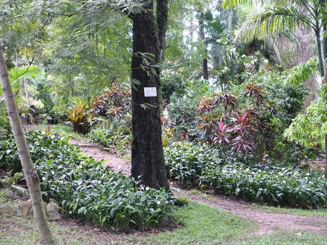 The image shows a lush green forest filled with lots of trees, plants, grass, and stones. There is...