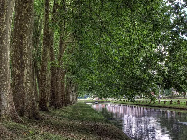 The image shows a river running through a lush green park, with trees lining the banks. The ground...