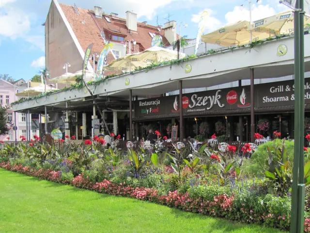 The image shows a city square with a flower bed in the middle of it, surrounded by grass, plants...