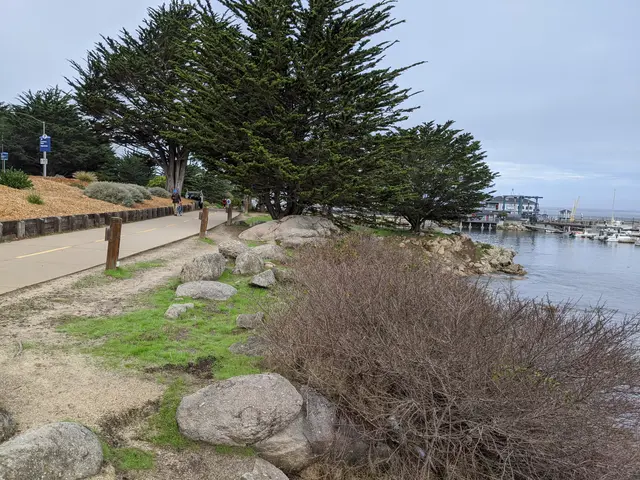 The image shows a path leading to a body of water with rocks and trees in the background. On the...