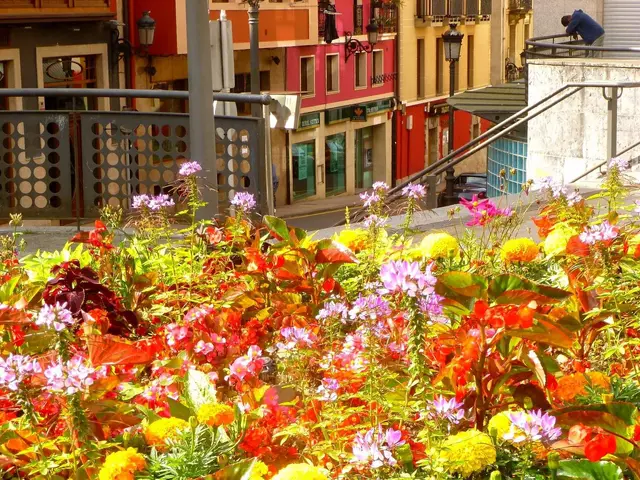 The image shows a vibrant flower bed in the middle of a city street, surrounded by buildings with...