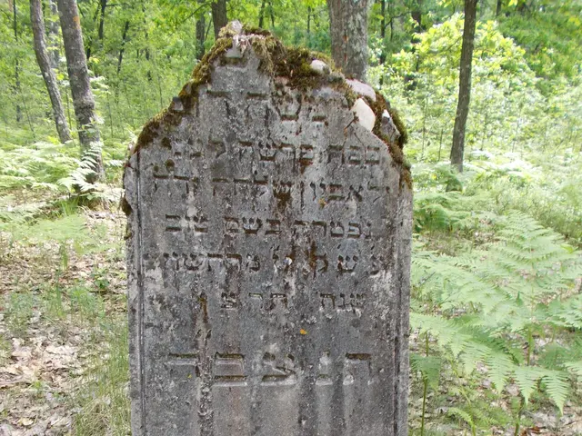 The image shows a gravestone in the woods with ferns growing around it. The gravestone is made of...
