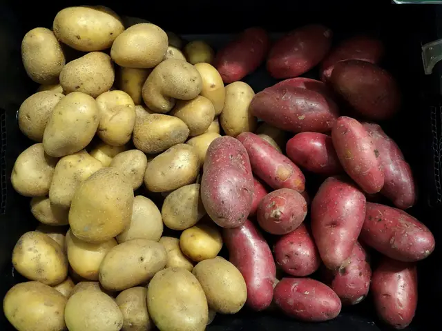 The image shows a black box filled with different types of potatoes, including red and yellow...