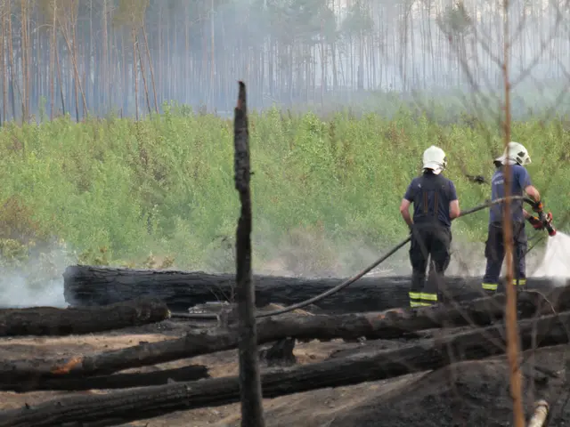 The image shows two firefighters wearing helmets and holding a hose, spraying water on a forest...