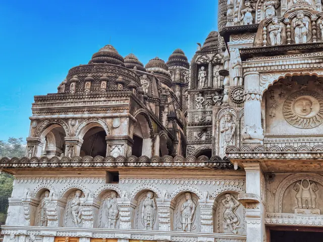 The image shows a large building with intricate carvings on the side of it, surrounded by trees and...