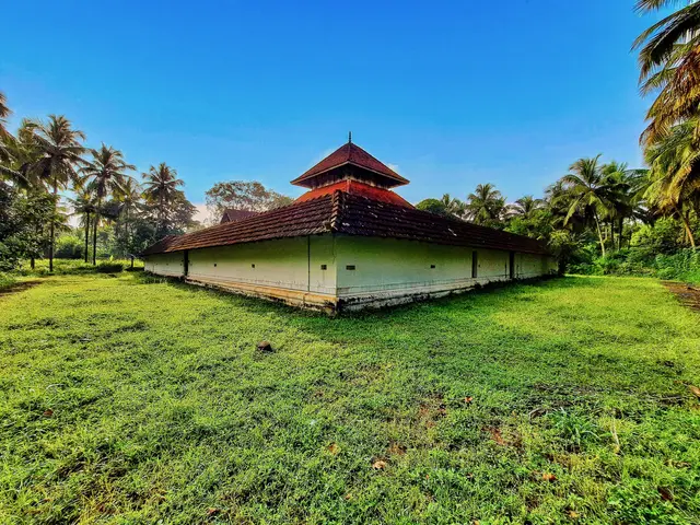The image shows an old house in the middle of a lush green field, surrounded by trees and plants....