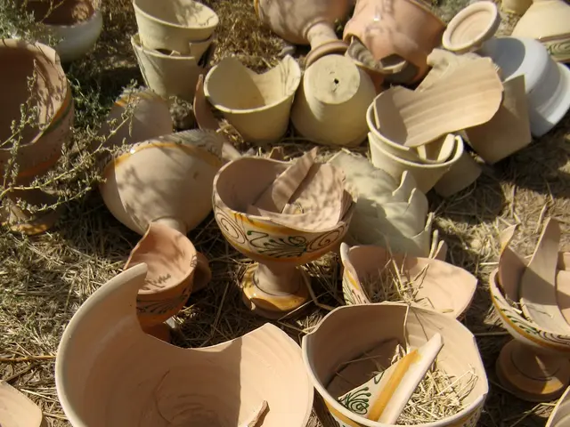 The image shows a pile of clay bowls sitting on top of a dry grass covered field, with a few plants...