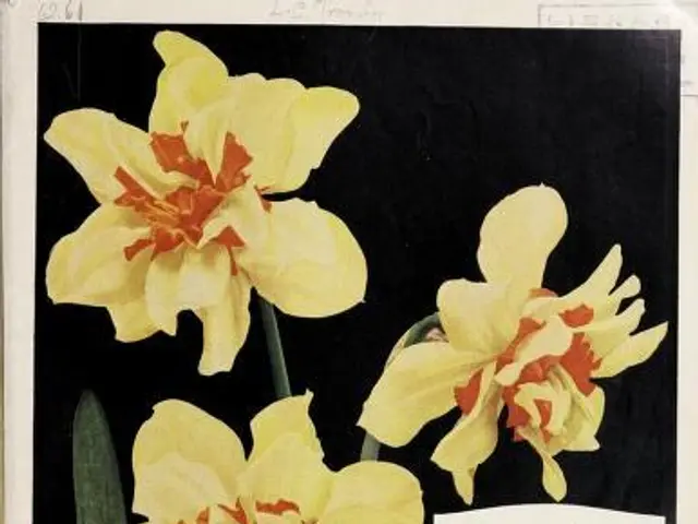 The image shows a book with a picture of yellow daffodils on it, along with text that reads "Bulbs...
