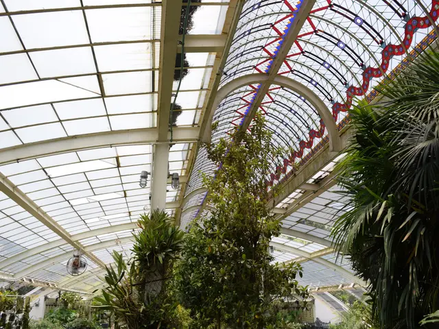The image shows a greenhouse filled with lots of plants and trees, with a glass roof at the top and...
