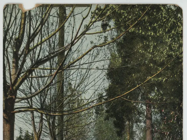 The image shows a shady walk at Madison Park in Seattle, Washington. There are people walking on...