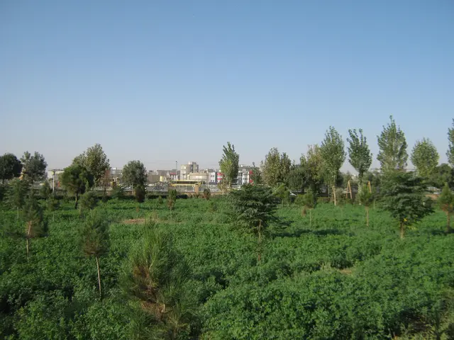 The image shows a field of green plants and trees in the middle of a city, with buildings in the...