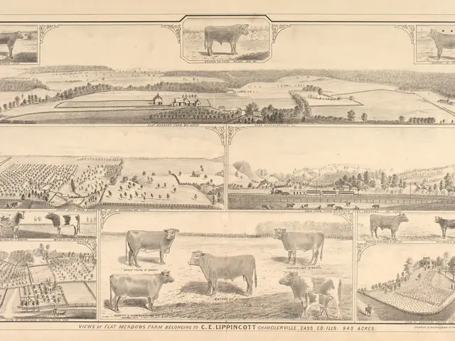 The image shows a paper with pictures of cows, trees, houses, fields, and other objects. At the...