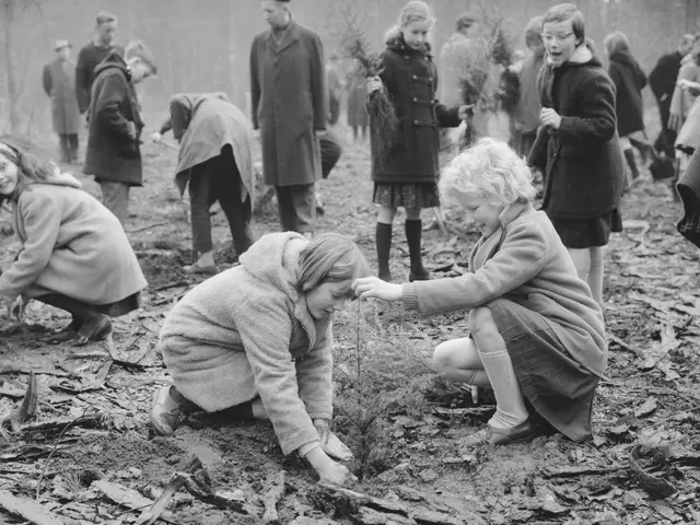 The image shows a group of children kneeling down in the woods, surrounded by trees and a clear...