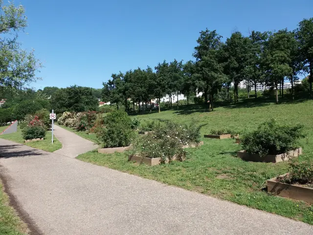 The image shows a paved path winding through a lush green park, with trees, plants, and grass on...