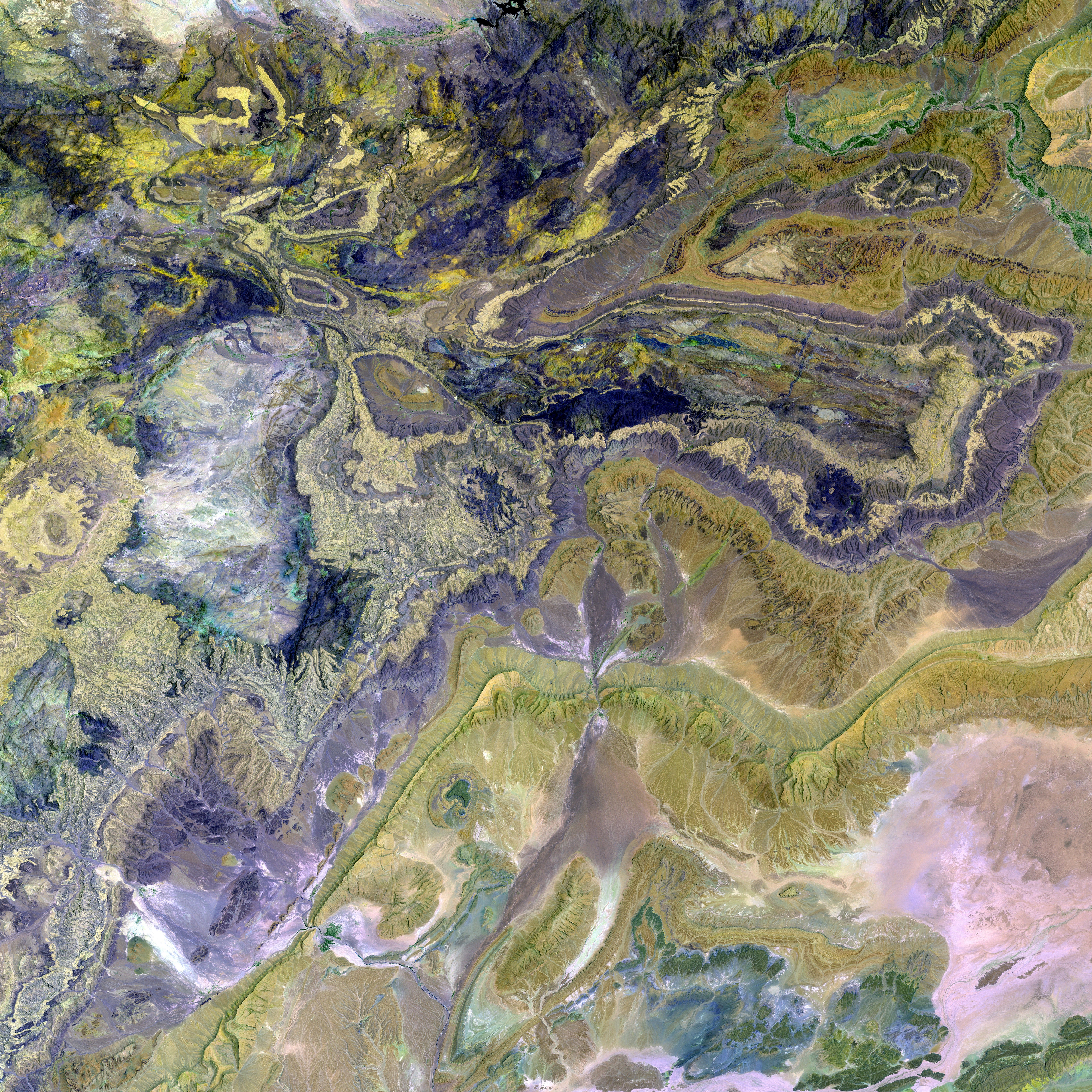 Cat Species in Arid and Lush Habitats - Underappreciated Feline Varieties